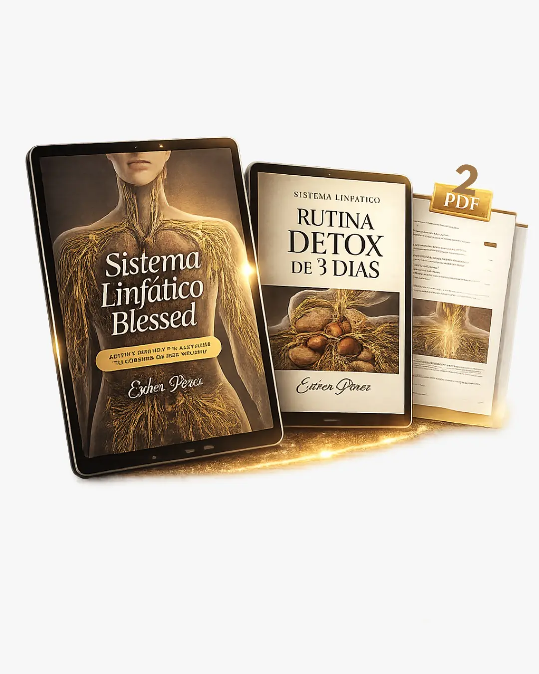 Máster sistema linfático